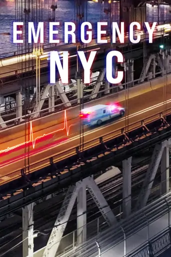 观看Acil Durum: New York Dizi