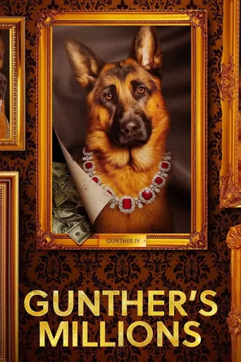 观看Gunther'ın Serveti Dizi