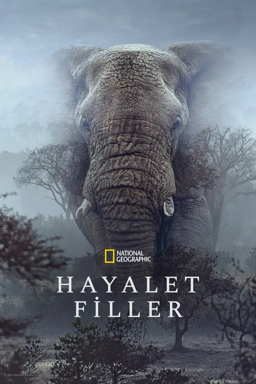 Hayalet Filler